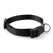 Collier ajustable offert