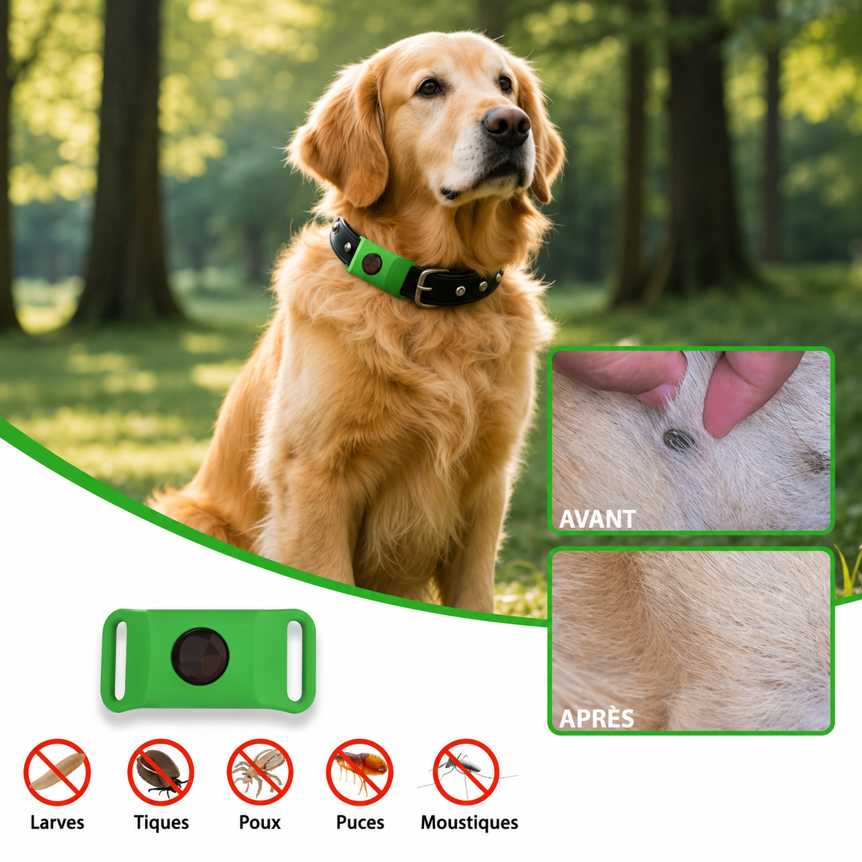 Protégez votre chien des parasites naturellement pendant 12 mois