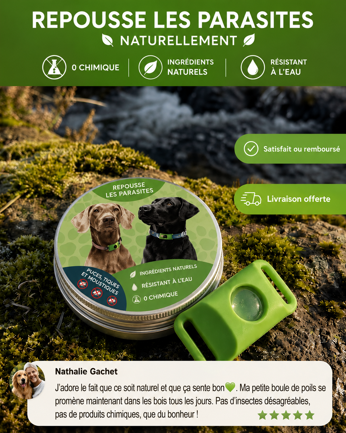 Protégez votre chien des parasites naturellement pendant 12 mois